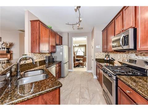 18729 Ruffner Dr, Cornelius, NC 28031 photo 10