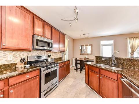 18729 Ruffner Dr, Cornelius, NC 28031 photo 7