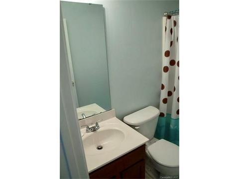 338 Irish Downs Dr, Clover, SC 29710 photo 18