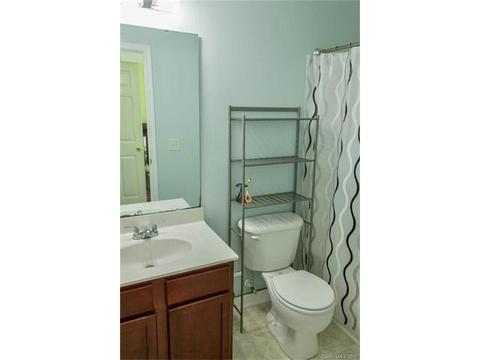 338 Irish Downs Dr, Clover, SC 29710 photo 12