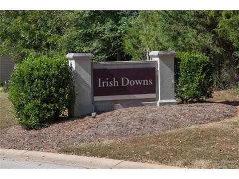 338 Irish Downs Dr, Clover, SC 29710 photo 24