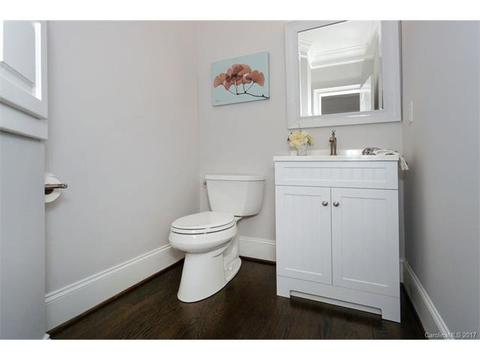 13511 Robert Walker Dr, Davidson, NC 28036 photo 22