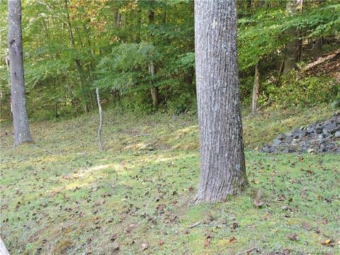 182 Covington Ln, Spruce Pine, NC 28777 photo 22