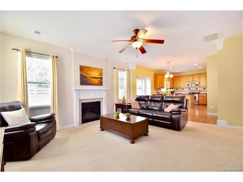 10770 Traders Ct, Davidson, NC 28036 photo 6