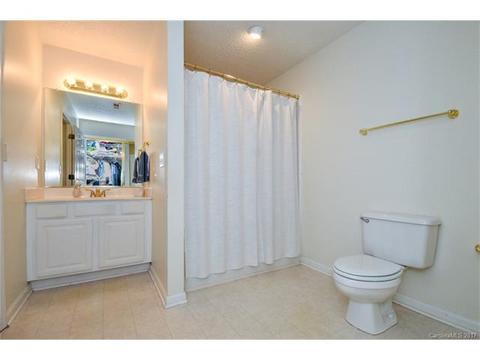 21113 Cold Spring Ln, Cornelius, NC 28031 photo 8