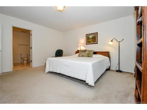 21113 Cold Spring Ln, Cornelius, NC 28031 photo 7