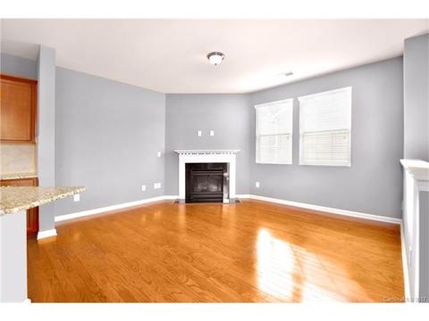 8289 Viewpoint Ln, Cornelius, NC 28031 photo 8