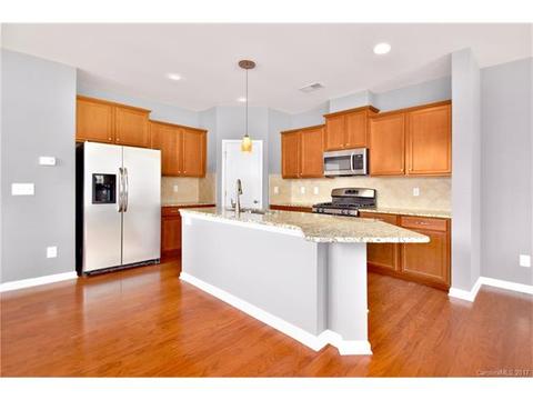 8289 Viewpoint Ln, Cornelius, NC 28031 photo 6
