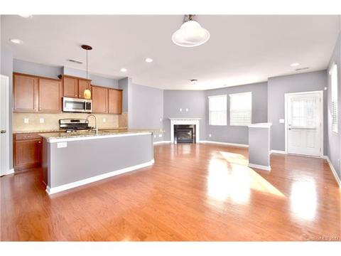 8289 Viewpoint Ln, Cornelius, NC 28031 photo 4