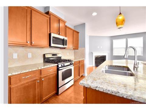 8289 Viewpoint Ln, Cornelius, NC 28031 photo 7