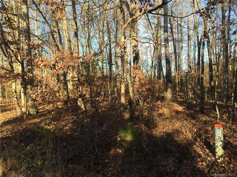 178 Con-lee Dr, Olin, NC 28660 photo 4