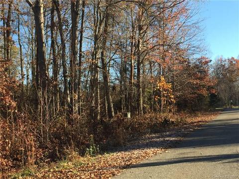 178 Con-lee Dr, Olin, NC 28660 photo 2