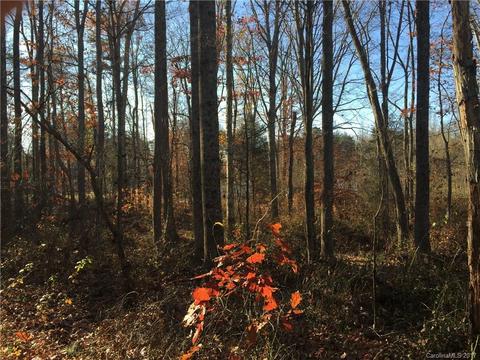 178 Con-lee Dr, Olin, NC 28660 photo 1