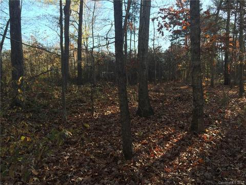 178 Con-lee Dr, Olin, NC 28660 photo 22