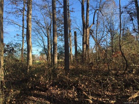 178 Con-lee Dr, Olin, NC 28660 photo 10