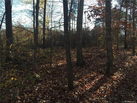 178 Con-lee Dr, Olin, NC 28660 photo 23