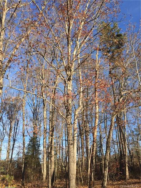 178 Con-lee Dr, Olin, NC 28660 photo 8