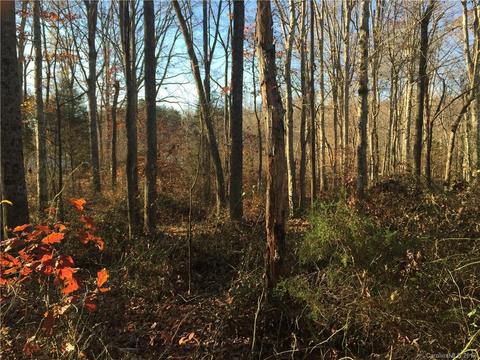 178 Con-lee Dr, Olin, NC 28660 photo 21