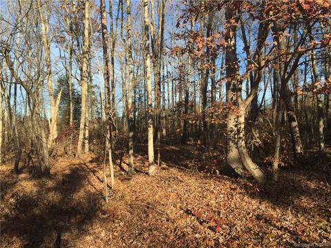 178 Con-lee Dr, Olin, NC 28660 photo 3