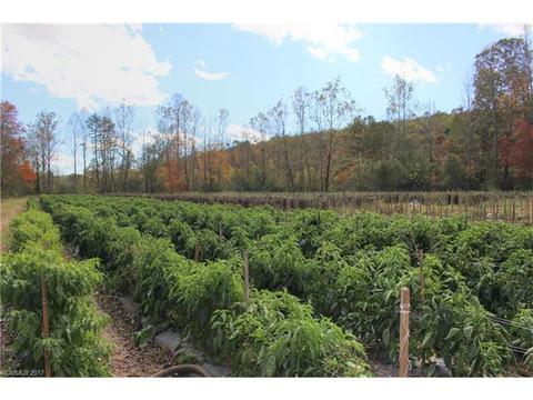 91 Holbrook Rd, Candler, NC 28715 photo 10