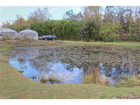 91 Holbrook Rd, Candler, NC 28715 photo 5