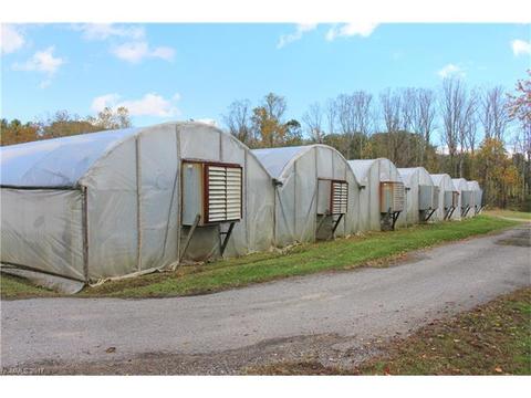 91 Holbrook Rd, Candler, NC 28715 photo 6