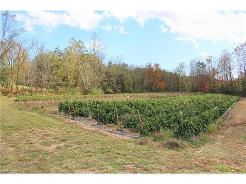 91 Holbrook Rd, Candler, NC 28715 photo 9