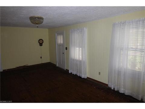 365 Thermal View Dr, Tryon, NC 28782 photo 4