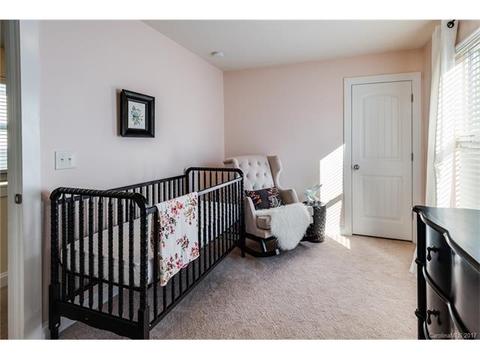 515 Jetton St, Davidson, NC 28036 photo 15