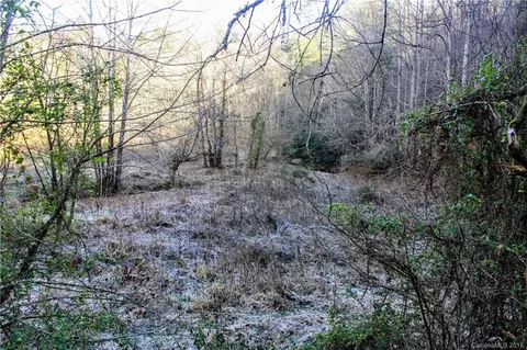 2033 Lower Paw Paw Rd, Marshall, NC 28753 photo 21