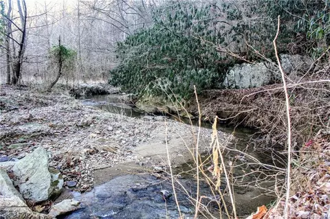 2033 Lower Paw Paw Rd, Marshall, NC 28753 photo 8