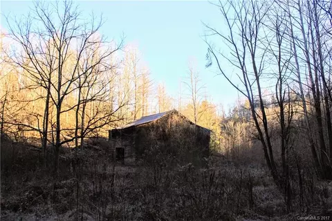 2033 Lower Paw Paw Rd, Marshall, NC 28753 photo 5