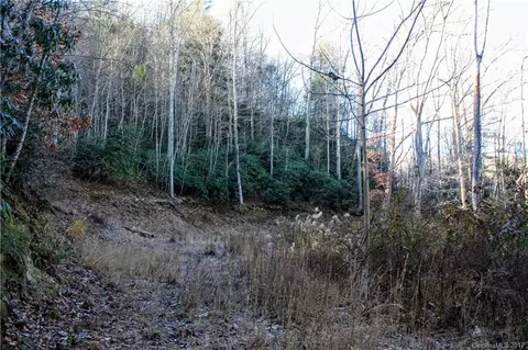2033 Lower Paw Paw Rd, Marshall, NC 28753 photo 22