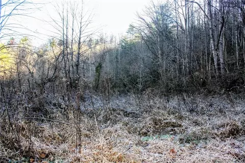 2033 Lower Paw Paw Rd, Marshall, NC 28753 photo 7