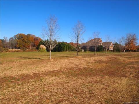 4646 Timnah Ln, Monroe, NC 28112 photo 3
