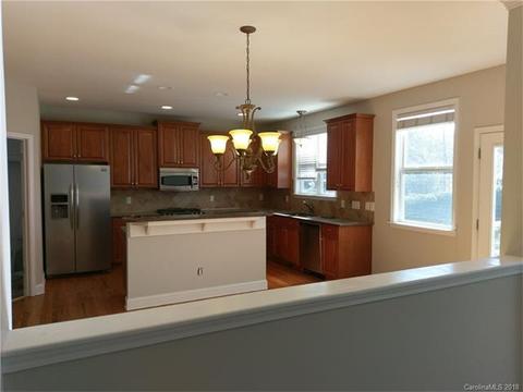 10208 Squires Way, Cornelius, NC 28031 photo 8