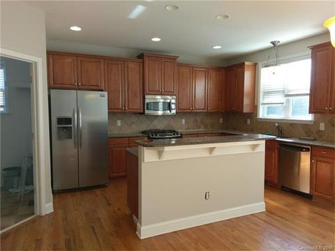 10208 Squires Way, Cornelius, NC 28031 photo 9