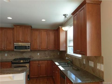 10208 Squires Way, Cornelius, NC 28031 photo 12