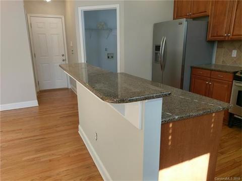 10208 Squires Way, Cornelius, NC 28031 photo 13