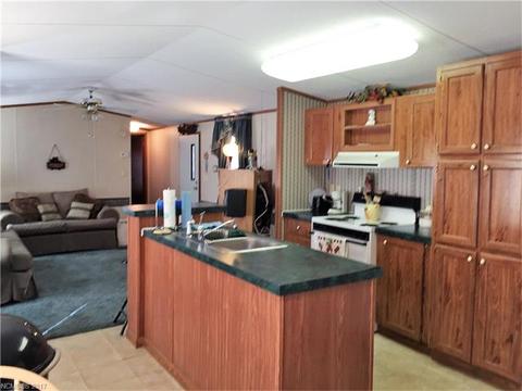 76 Lighthouse Ln, Mill Spring, NC 28756 photo 6