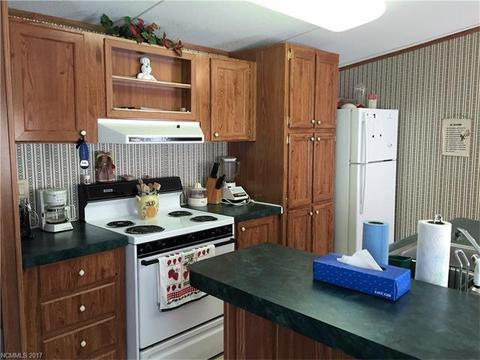 76 Lighthouse Ln, Mill Spring, NC 28756 photo 5