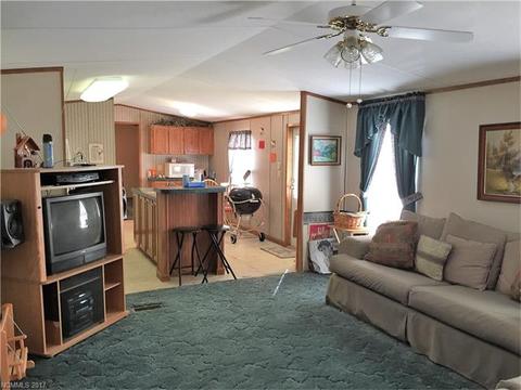 76 Lighthouse Ln, Mill Spring, NC 28756 photo 3