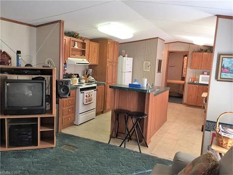 76 Lighthouse Ln, Mill Spring, NC 28756 photo 4