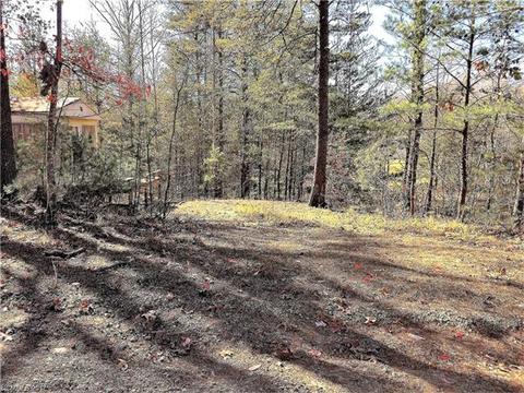 76 Lighthouse Ln, Mill Spring, NC 28756 photo 15