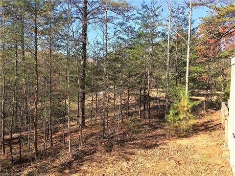 76 Lighthouse Ln, Mill Spring, NC 28756 photo 20