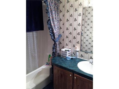 76 Lighthouse Ln, Mill Spring, NC 28756 photo 10