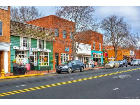 492 Jetton St, Davidson, NC 28036 photo 23