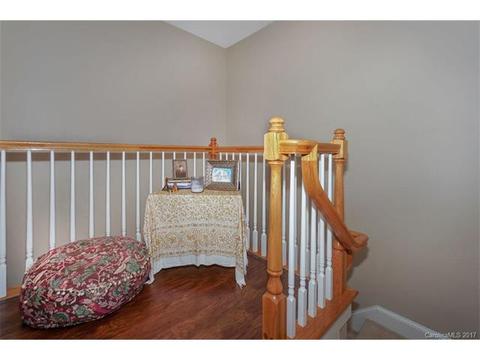 492 Jetton St, Davidson, NC 28036 photo 15