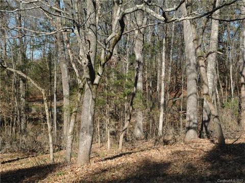 3000 Grey Rd, Davidson, NC 28036 photo 10