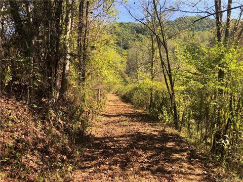 173 S Fork Rd, Marshall, NC 28753 photo 5